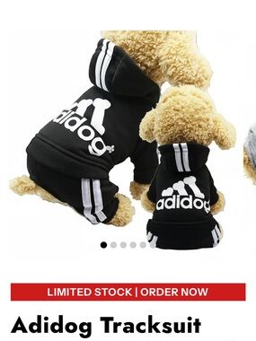 Black Athletic Dog Hoodie with White Stripe Accents